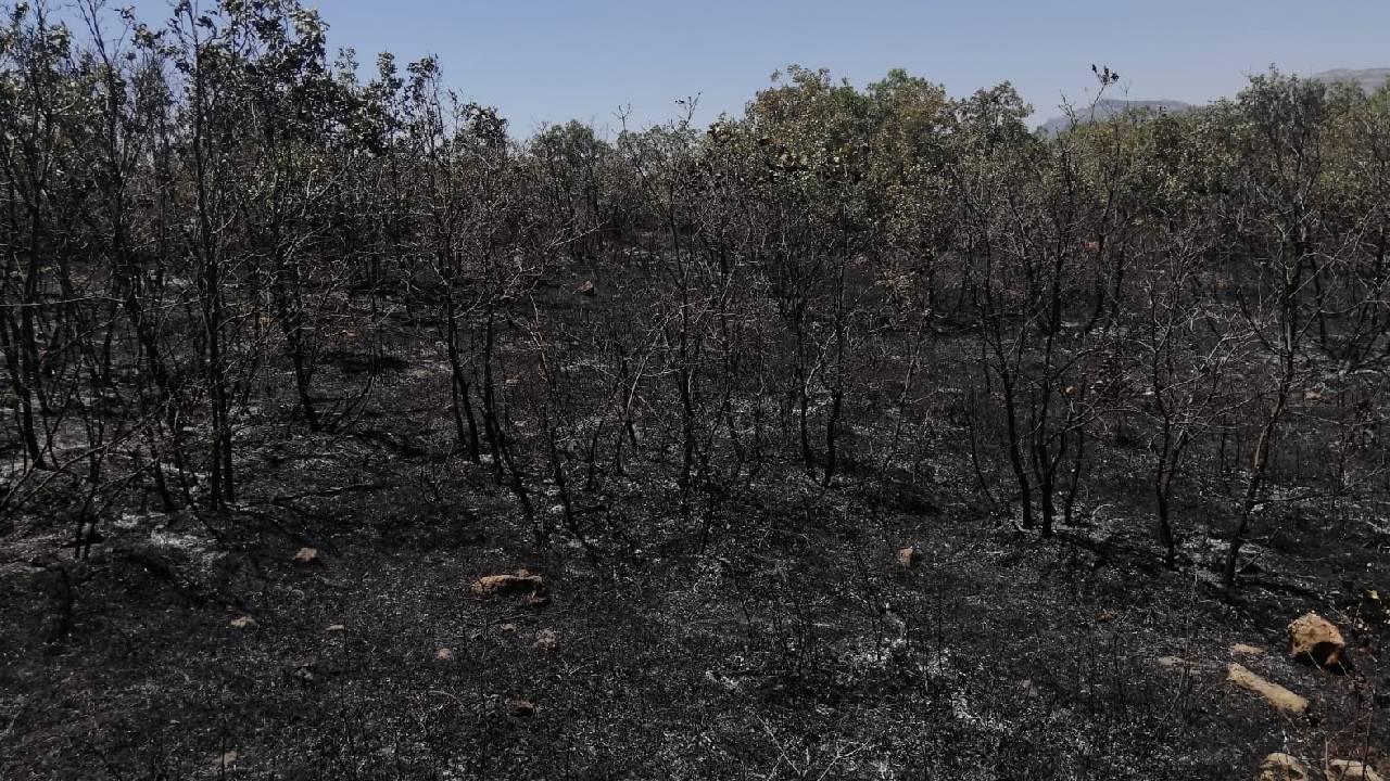 Diyarbakır’da 18 saattir devam eden yangın kontrol altına alındı