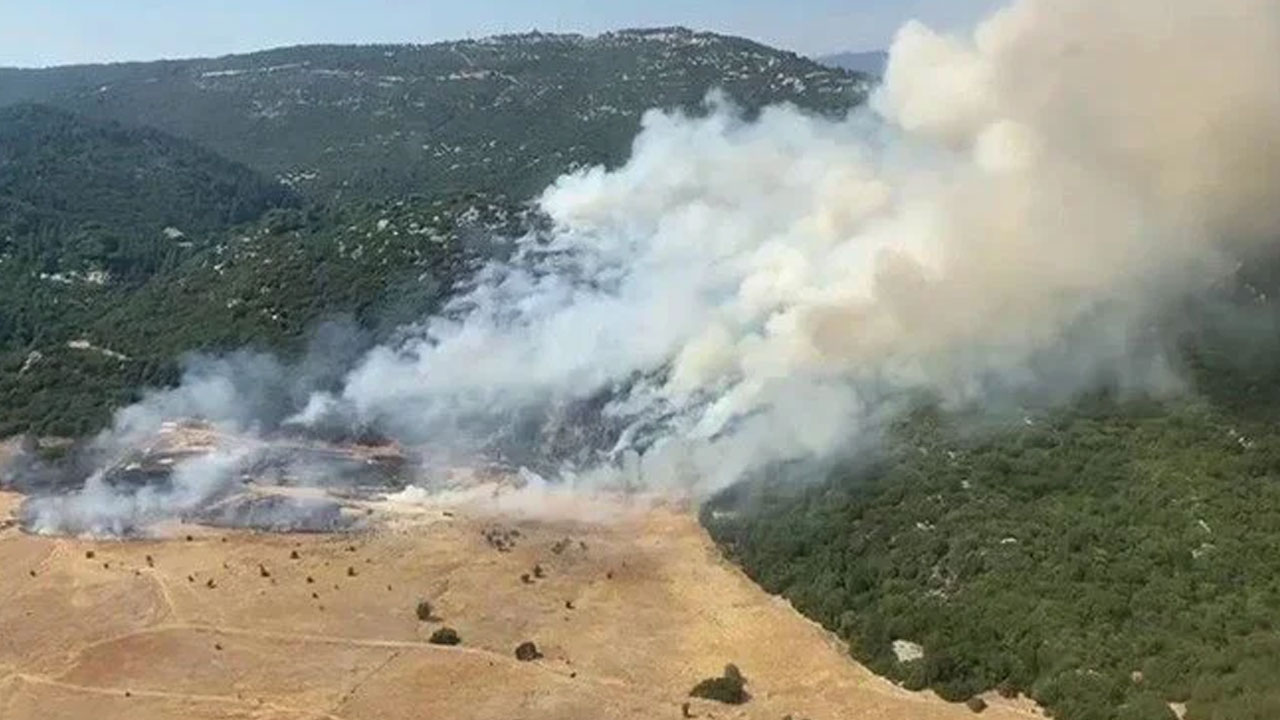 Antalya Kaş'ta makilik alanda yangın