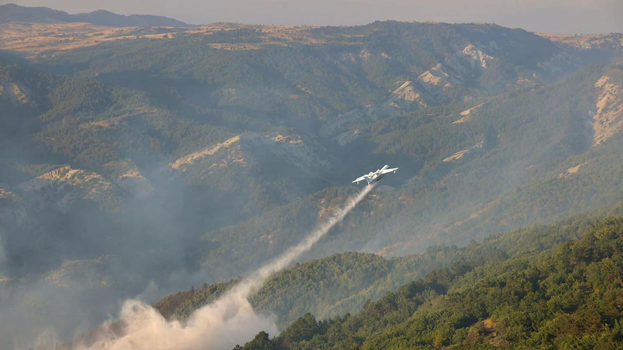 Bilecik'teki orman yangını kontrol altında