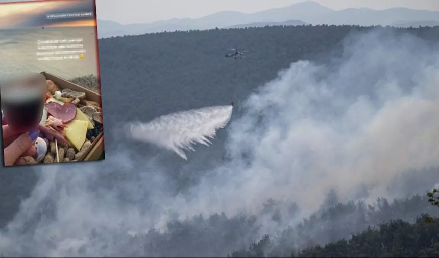 Çanakkale'deki orman yangınıyla ilgili vicdanları sızlatan paylaşım