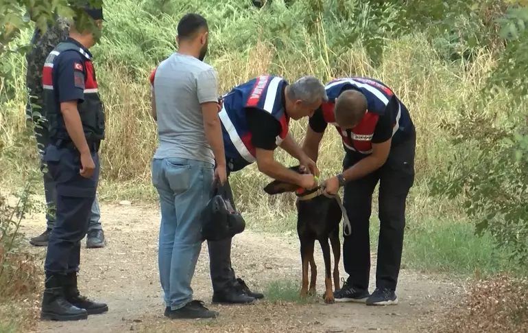 Korhan Berzeg sır oldu! Kaybolduktan 74 gün sonra eve dönen Tina'nın tahlil sonuçları belli oldu