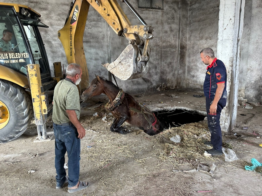 Kilis'te kuyuya düşen at itfaiye ekiplerince kurtarıldı