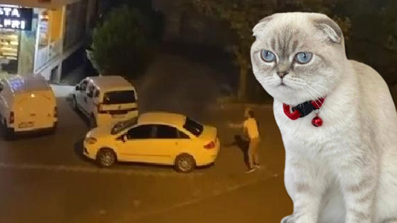 Kedi için silahlı çatışma: Yoldan geçen kurye vuruldu