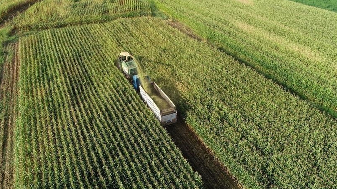 Tarımsal destekleme ödemeleri bugün hesaplara yatacak