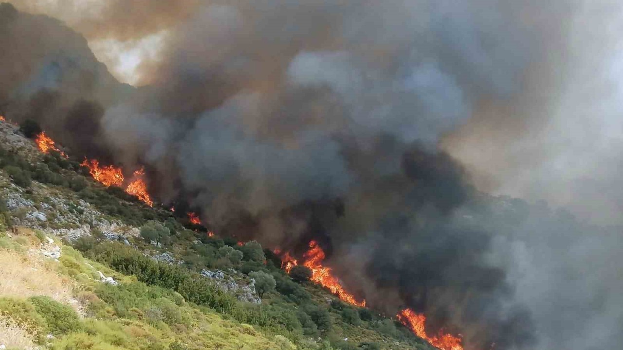 Muğla’da orman yangını