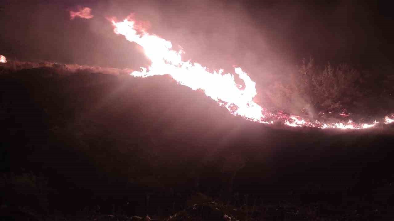 İzmir’de makilik alanda yangın