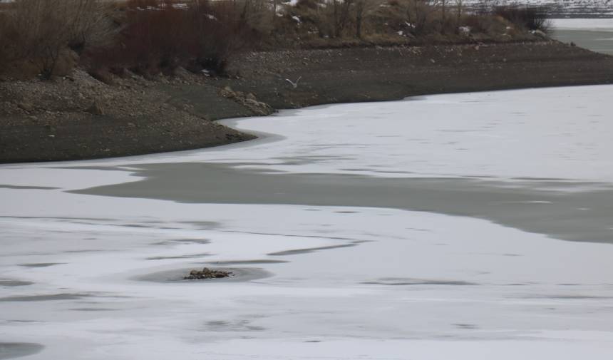 Hava sıcaklığı sıfırın altında 10 dereceye düştü, gölet buz tuttu