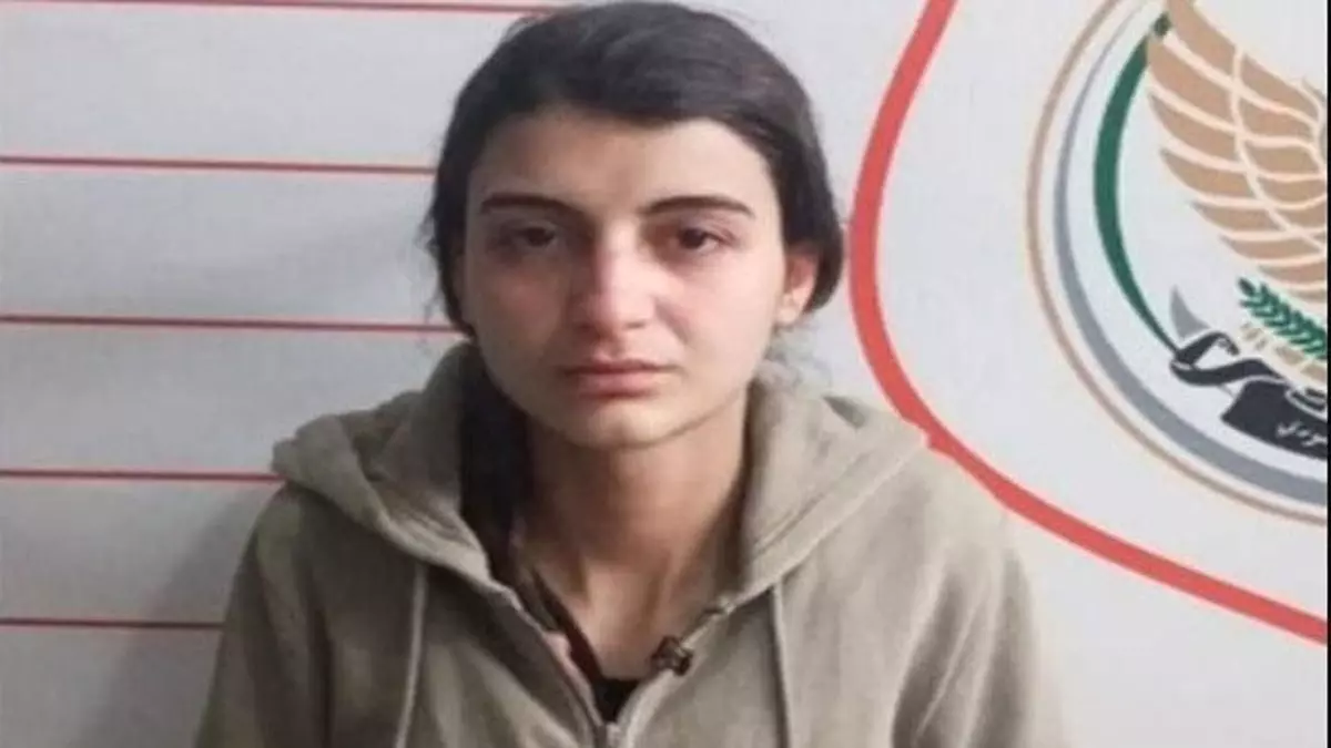 Suriye'den Türkiye'ye sızmaya çalışan PKK'lı teröristi MİT enseledi