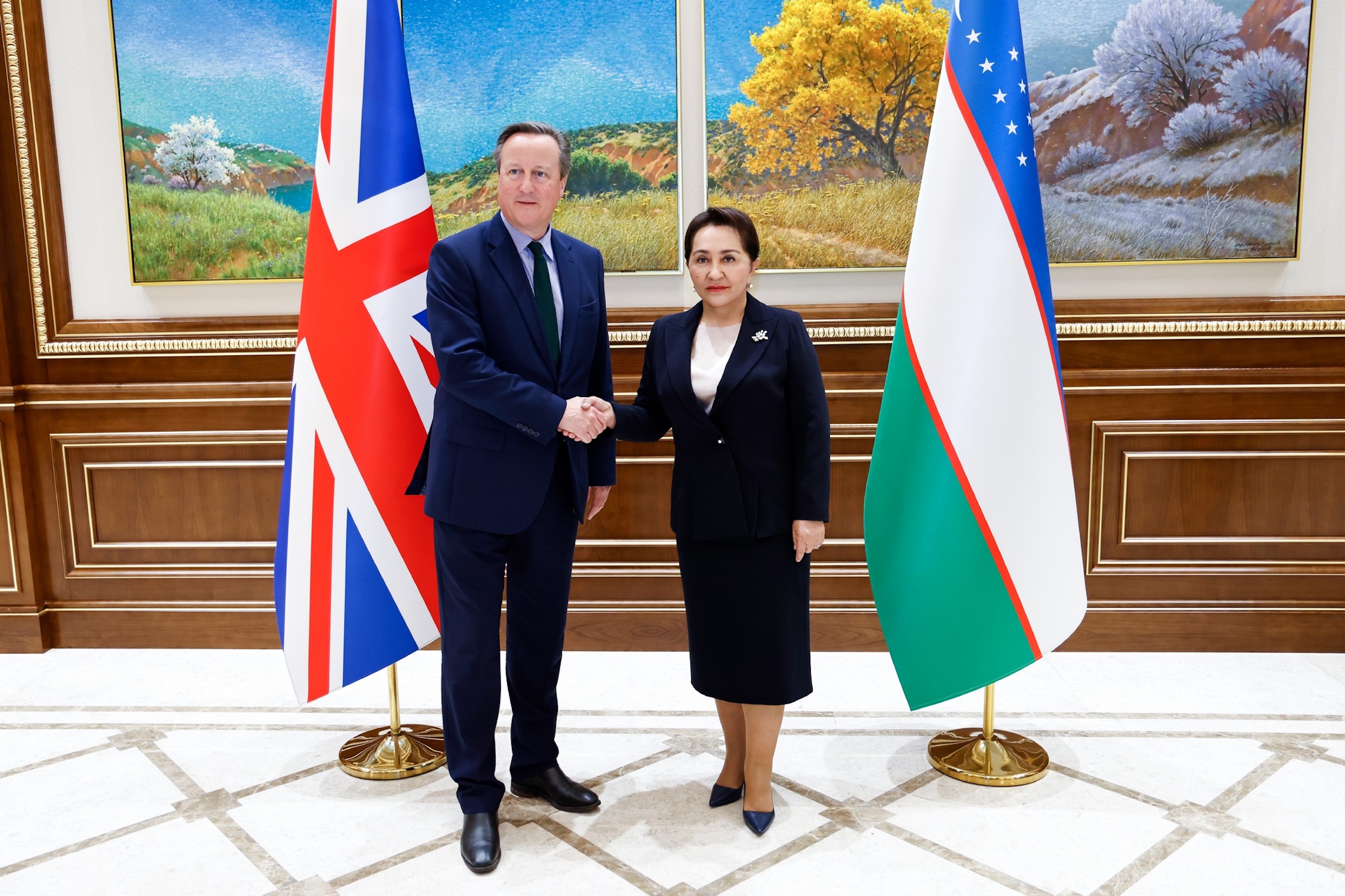 İngiltere Dışişleri Bakanı Cameron, Özbekistan'da temaslarda bulundu