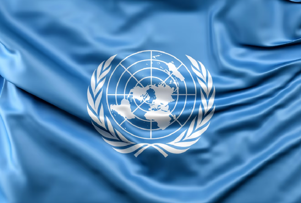 BM'den dikkat çeken açıklama: "Ölüm oranlarında büyük artış var"