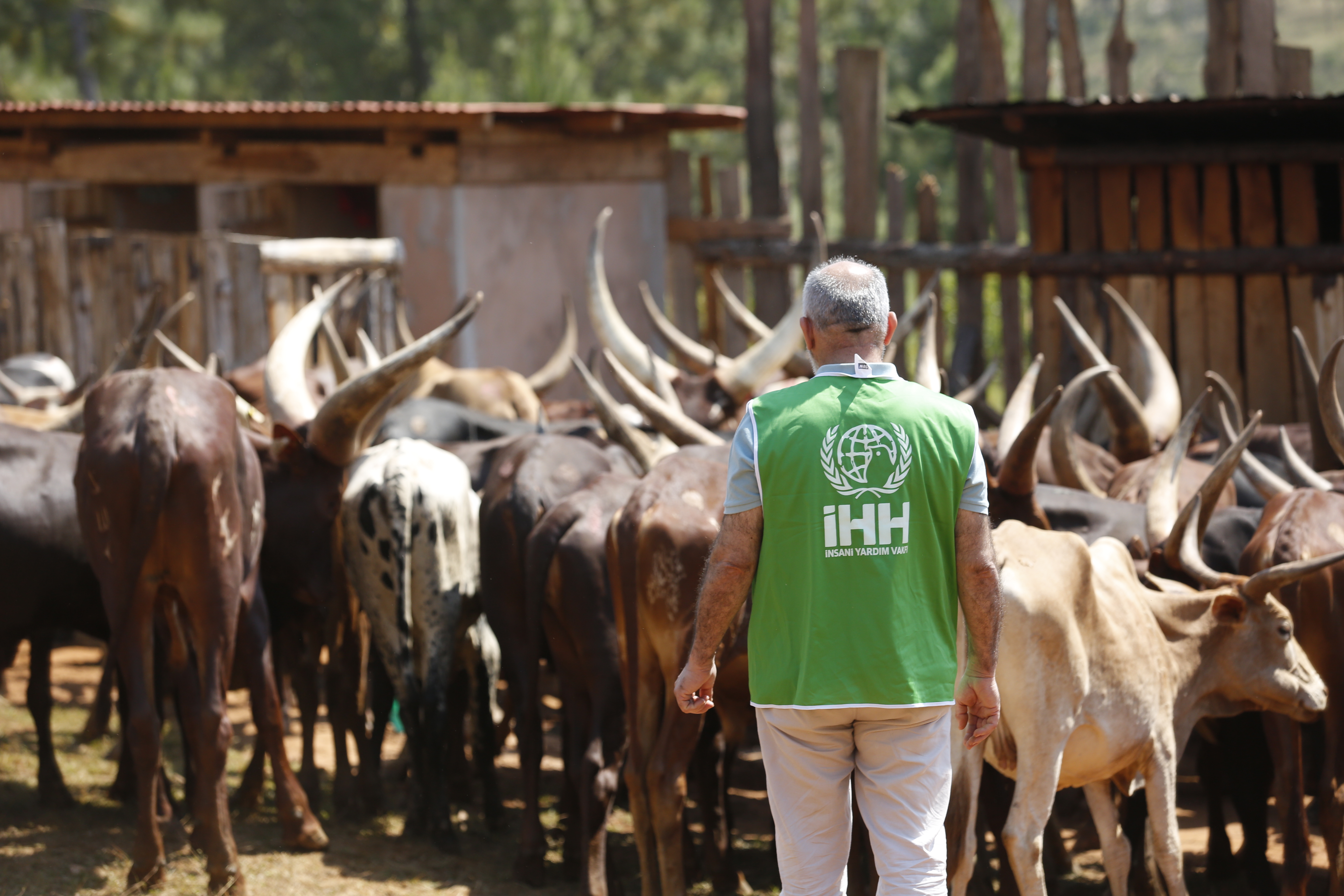 İhh'nın Hedefi Kurban Bayramında 3 Milyon Kişiye Ulaşmak (3)