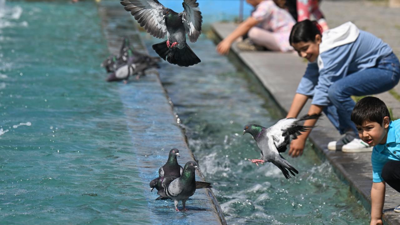 Sıcaklıklar salı gününden itibaren artacak