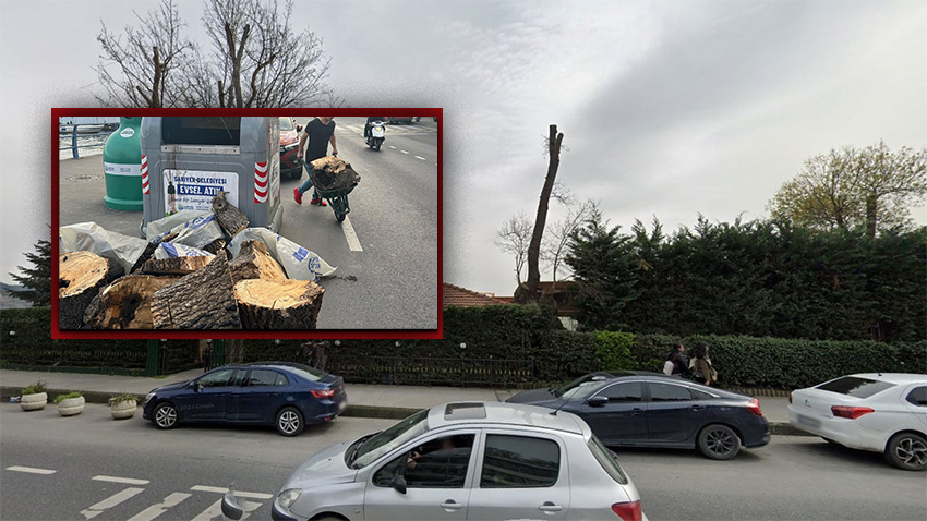 Sarıyer Liseliler Parkı'ndaki ağacın kesilmesine tepki