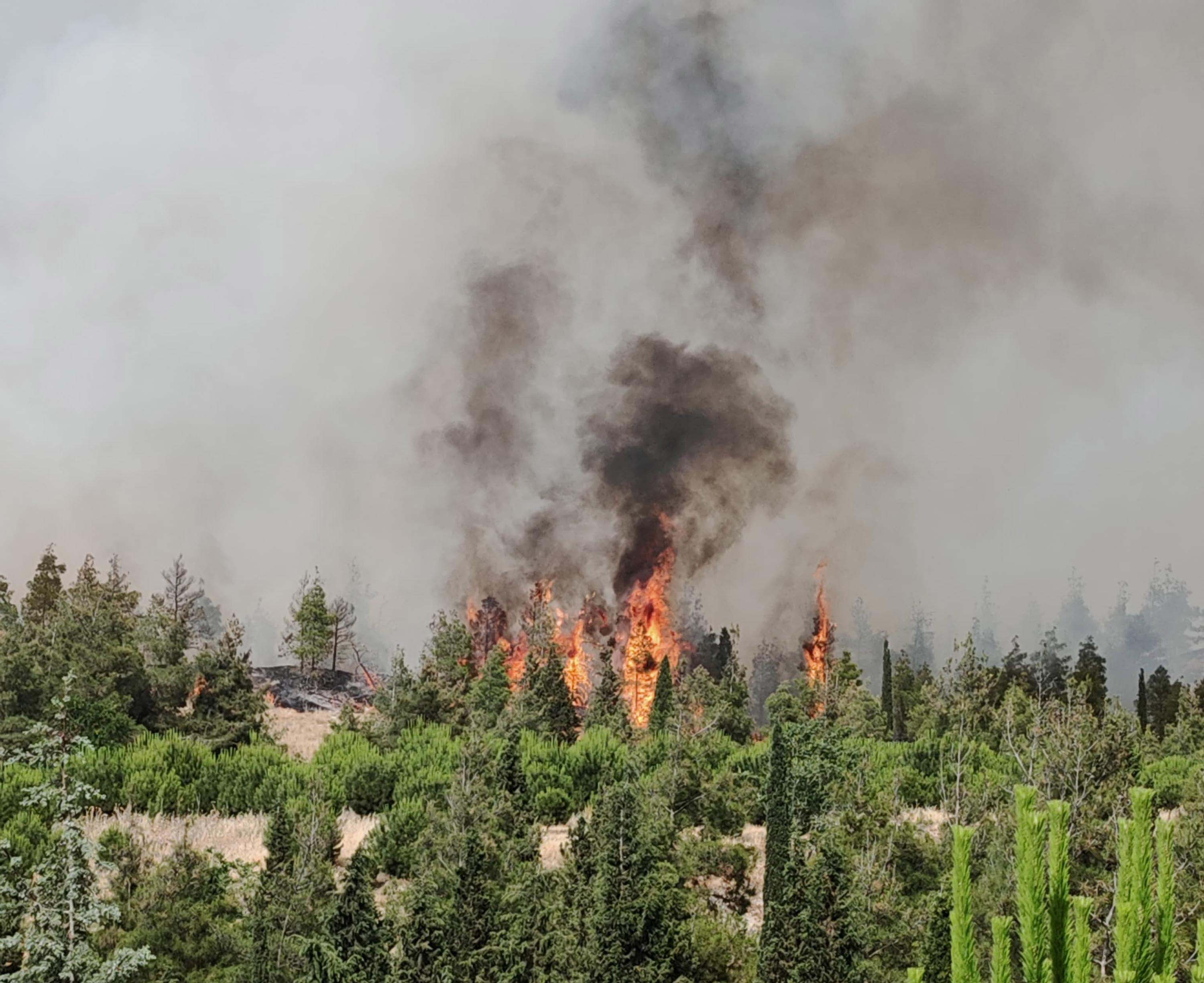 Denizli'de orman yangını! Havadan ve karadan müdahale ediliyor