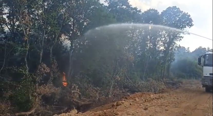 Edirne'de yangın: 90 dekar tarım ve mera alanı zarar gördü