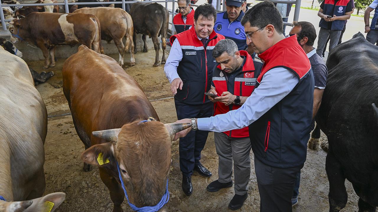 Kurban pazarlarında bayram hareketliliği başladı