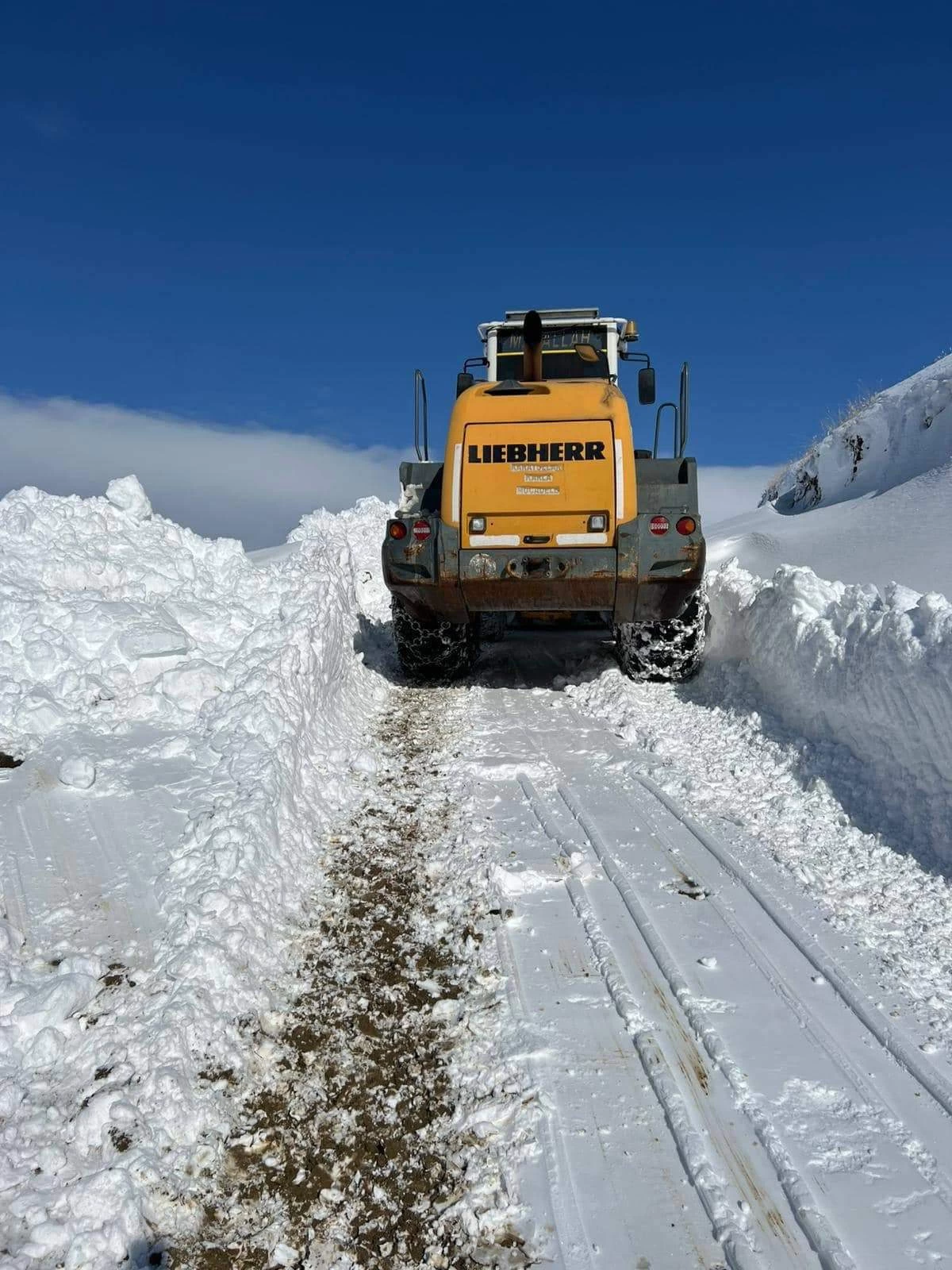 Kar kalınlığı 1 metreye ulaştı; ekipler çalışma başlattı