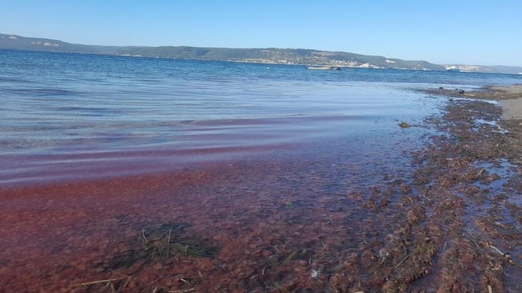 Çanakkale'de sahil kırmızı renge büründü! - Çanakkale Haberleri