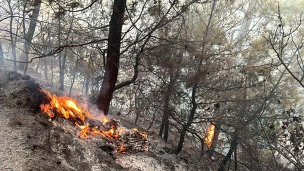 HABER || Muğla yanıyor 3 ayrı bölgede yangın