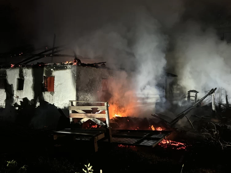 Düzce'de yangında iki ev ve odunluk hasar gördü