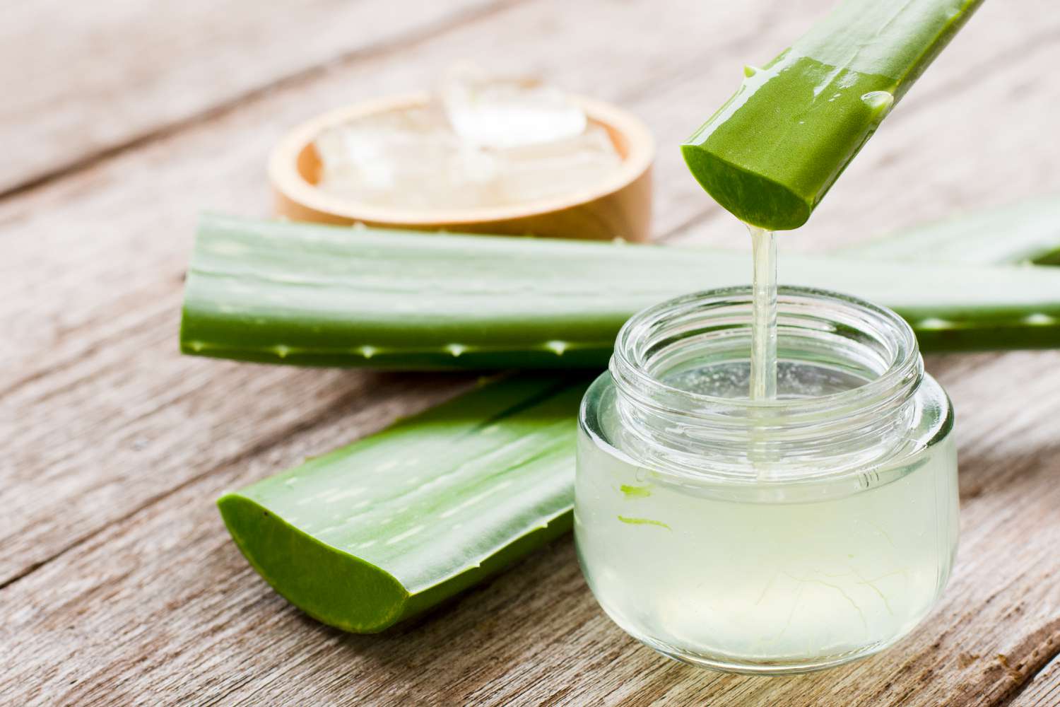 Aloe vera: Sağlık ve güzellik için doğal bir iksir!