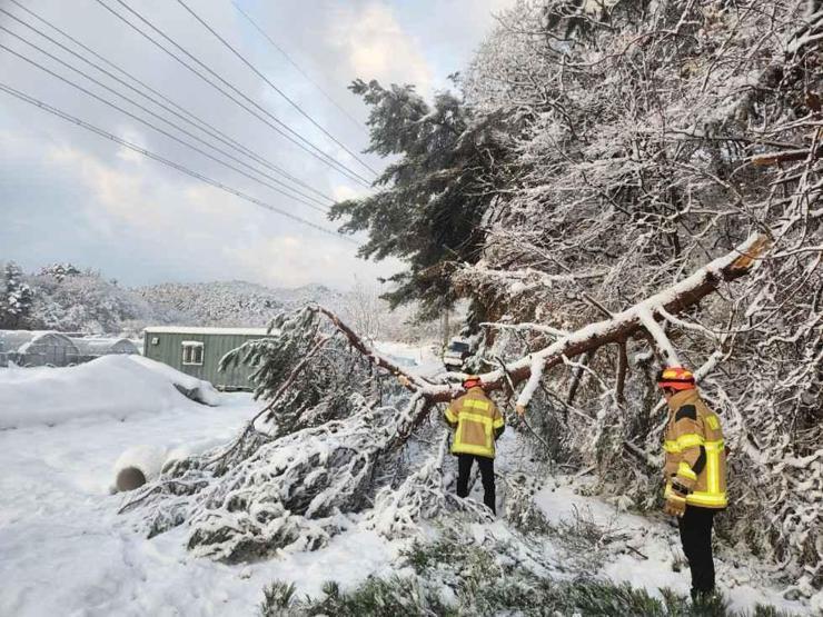 Güney Kore’de kar fırtınası: Can kaybı 4’e yükseldi