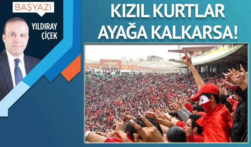 Kızıl kurtlar ayağa kalkarsa!