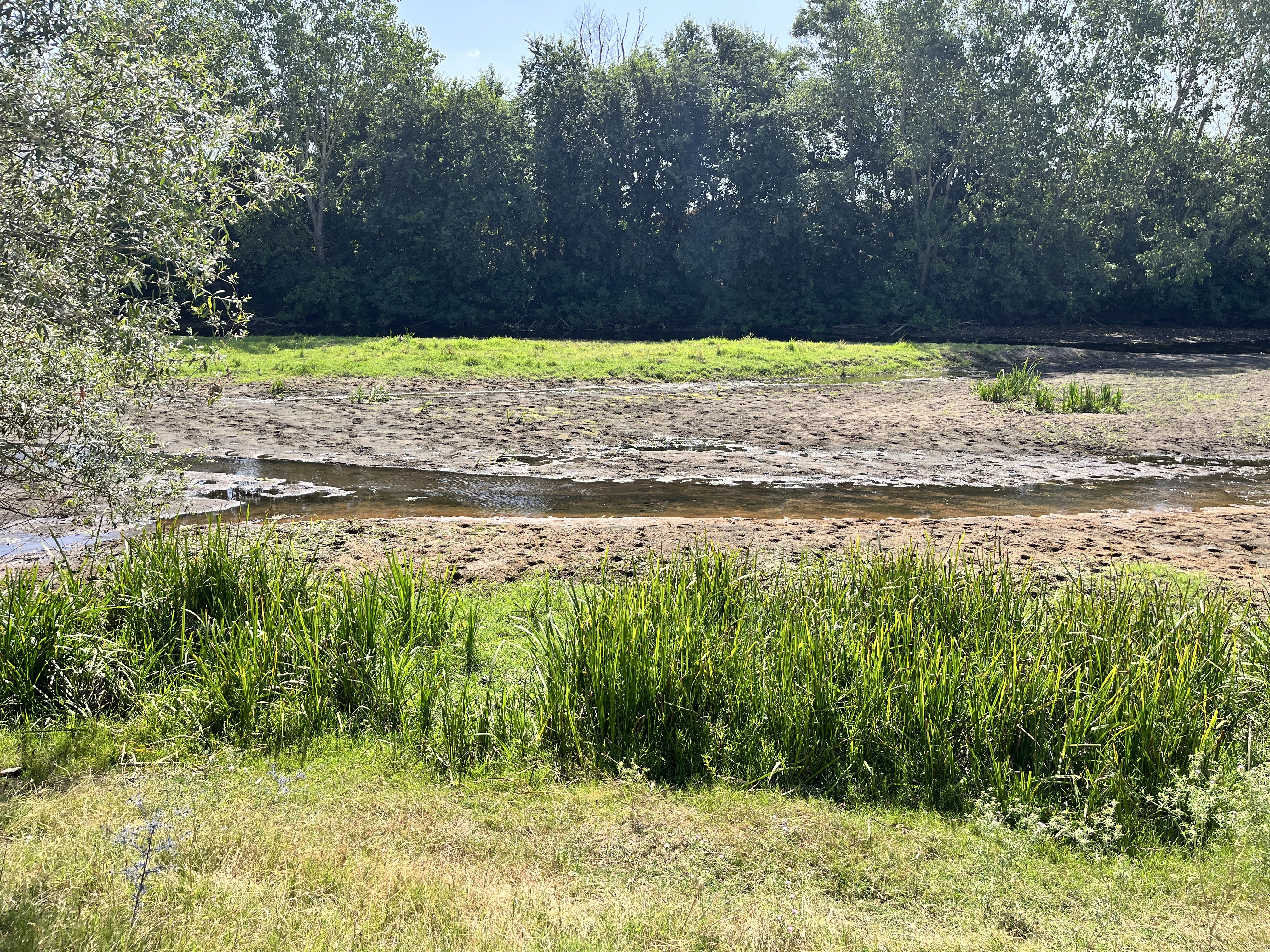 Tunca Nehri'ndeki debideki azalma çeltik üreticilerini endişelendiriyor