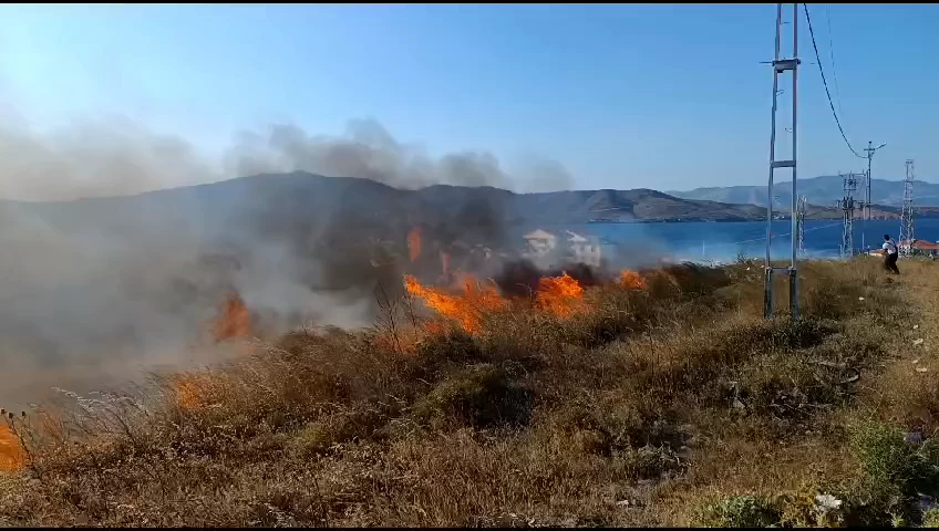 Avşa'da yürekler ağıza geldi