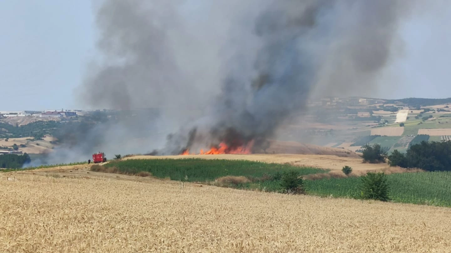 Bursa'da 50 dönüm buğday tarlası yandı