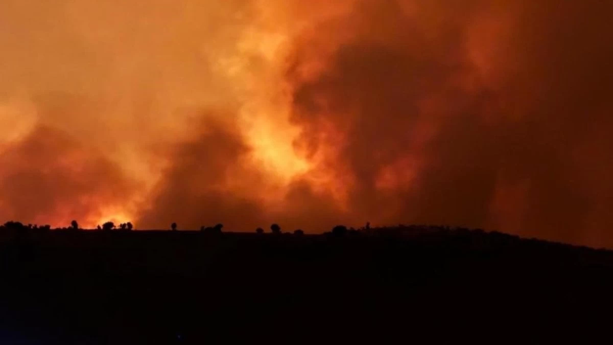 Diyarbakır ve Mardin'i kapsayan yangında can kaybı 14'e yükseldi!