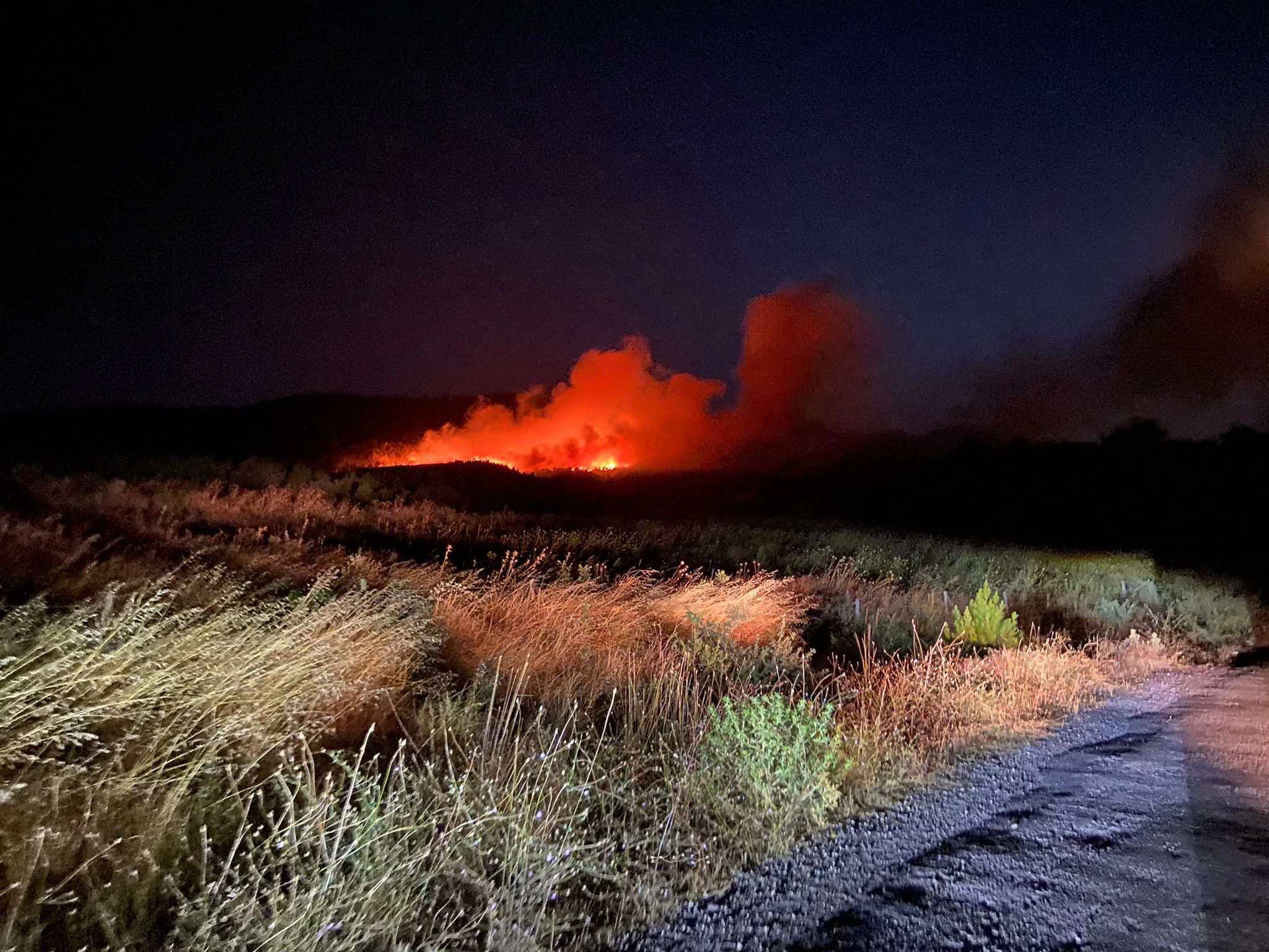 Çanakkale'nin Ayvacık ilçesinde orman yangını