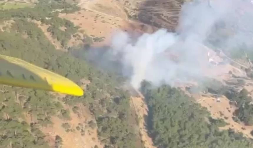 İzmir’deki orman yangınına havadan ve karadan müdahale sürüyor