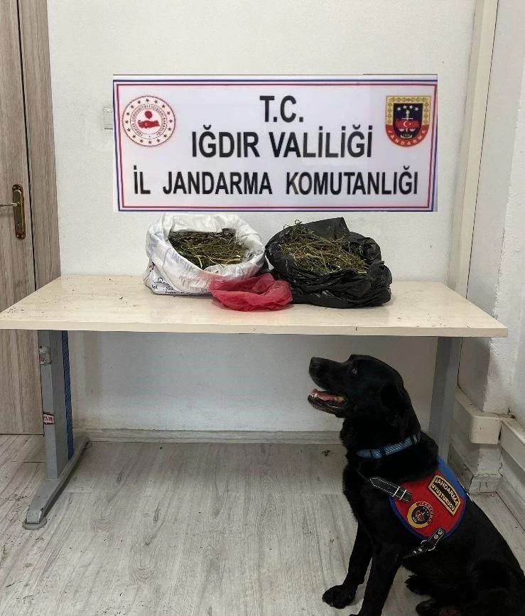 Iğdır'da 22,5 kilogram kubar esrar ele geçirildi